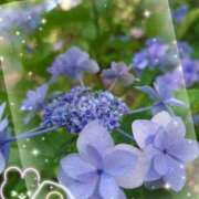 ヒメ日記 2025/06/30 16:56 投稿 まい ただいま京都店