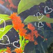 ヒメ日記 2025/11/12 12:15 投稿 まい ただいま京都店