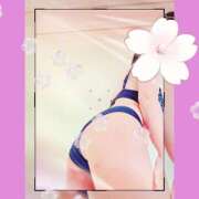 ヒメ日記 2026/03/26 10:35 投稿 まい ただいま京都店