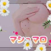 ヒメ日記 2026/09/27 19:37 投稿 まい ただいま京都店