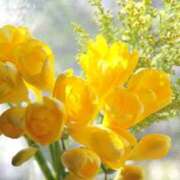 ヒメ日記 2025/01/22 09:53 投稿 美玲 美熟女専科白夜