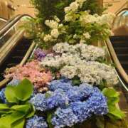 ヒメ日記 2025/06/13 18:03 投稿 美玲 美熟女専科白夜