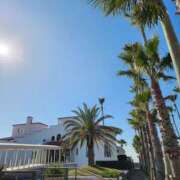 ヒメ日記 2026/01/27 10:12 投稿 美玲 美熟女専科白夜