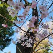 美玲 受付終了いたしました 美熟女専科白夜