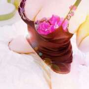 ヒメ日記 2025/05/29 20:00 投稿 星野奈々 こあくまな熟女たち 広島店（KOAKUMAグループ）