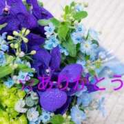 ヒメ日記 2025/09/03 11:44 投稿 長友 熟女待機所 厚木店