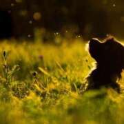 ヒメ日記 2025/09/24 14:05 投稿 長友 熟女待機所 厚木店