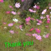 ヒメ日記 2025/10/15 18:06 投稿 長友 熟女待機所 厚木店