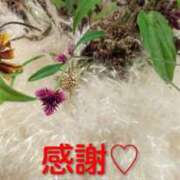 ヒメ日記 2026/01/27 17:45 投稿 長友 熟女待機所 厚木店