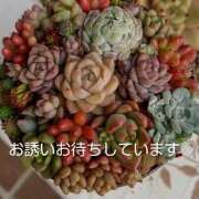 ヒメ日記 2026/02/03 17:05 投稿 長友 熟女待機所 厚木店