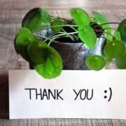 ヒメ日記 2026/03/23 17:06 投稿 長友 熟女待機所 厚木店