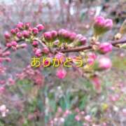 長友 ありがとうございました♡ 熟女待機所 厚木店