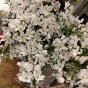 長友 出勤します 熟女待機所 厚木店