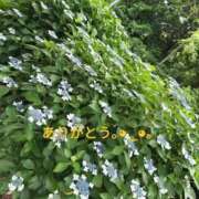 ヒメ日記 2026/06/16 18:06 投稿 長友 熟女待機所 厚木店