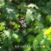 ヒメ日記 2026/07/21 19:07 投稿 長友 熟女待機所 厚木店