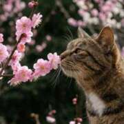 ヒメ日記 2026/03/15 00:24 投稿 大橋 十恋人～トレンド～