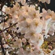 ヒメ日記 2026/03/25 13:34 投稿 大橋 十恋人～トレンド～