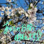 大橋 ヒノキ花粉⁉️🤧 十恋人～トレンド～