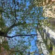 大橋 今日暑い～💦 十恋人～トレンド～