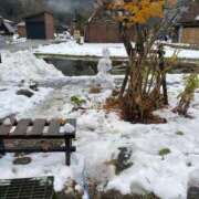 ヒメ日記 2024/12/31 13:56 投稿 せりか 奥様の実話 梅田店