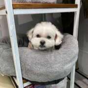 ヒメ日記 2025/01/28 16:43 投稿 せりか 奥様の実話 梅田店