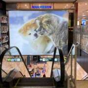 ヒメ日記 2025/03/16 09:45 投稿 せりか 奥様の実話 梅田店