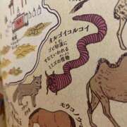 せりか セリカdays🍓 奥様の実話 梅田店