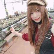 ヒメ日記 2026/04/23 03:00 投稿 涼香 キュート東京 五反田店