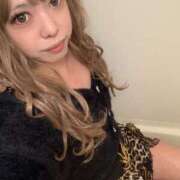 ヒメ日記 2025/11/15 18:02 投稿 心愛 キュート東京 五反田店