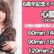 ヒメ日記 2026/05/23 09:19 投稿 心愛 キュート東京 五反田店