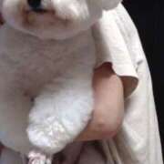 ヒメ日記 2026/03/27 23:27 投稿 優里 キュート東京 五反田店