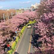 ヒメ日記 2025/03/02 22:08 投稿 竹下夢路 プレジデントクラブ