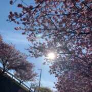 ヒメ日記 2025/03/19 21:57 投稿 竹下夢路 プレジデントクラブ