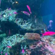 ヒメ日記 2025/03/21 21:32 投稿 竹下夢路 プレジデントクラブ