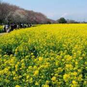 ヒメ日記 2025/03/30 21:35 投稿 竹下夢路 プレジデントクラブ