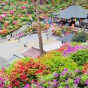 ヒメ日記 2025/04/30 20:28 投稿 竹下夢路 プレジデントクラブ