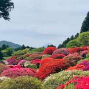 ヒメ日記 2025/05/11 21:17 投稿 竹下夢路 プレジデントクラブ