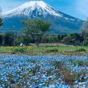 ヒメ日記 2025/05/13 18:47 投稿 竹下夢路 プレジデントクラブ