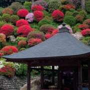 ヒメ日記 2025/05/23 21:41 投稿 竹下夢路 プレジデントクラブ