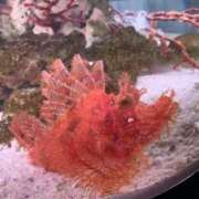 ヒメ日記 2025/06/11 21:35 投稿 竹下夢路 プレジデントクラブ