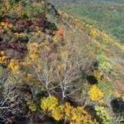 ヒメ日記 2025/10/21 22:06 投稿 竹下夢路 プレジデントクラブ