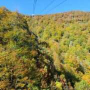 ヒメ日記 2025/10/25 07:55 投稿 竹下夢路 プレジデントクラブ