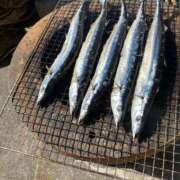 ヒメ日記 2025/10/31 22:48 投稿 竹下夢路 プレジデントクラブ