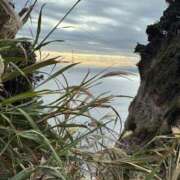 ヒメ日記 2026/01/31 00:01 投稿 竹下夢路 プレジデントクラブ