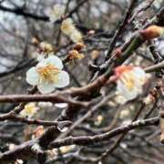 ヒメ日記 2026/02/11 22:17 投稿 竹下夢路 プレジデントクラブ