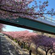 ヒメ日記 2026/02/19 21:18 投稿 竹下夢路 プレジデントクラブ