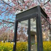 ヒメ日記 2026/03/01 20:58 投稿 竹下夢路 プレジデントクラブ