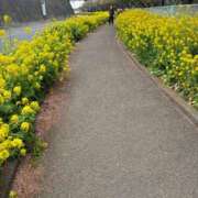 ヒメ日記 2026/03/08 07:30 投稿 竹下夢路 プレジデントクラブ