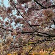 ヒメ日記 2026/03/28 21:49 投稿 竹下夢路 プレジデントクラブ