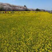 ヒメ日記 2026/04/12 05:22 投稿 竹下夢路 プレジデントクラブ